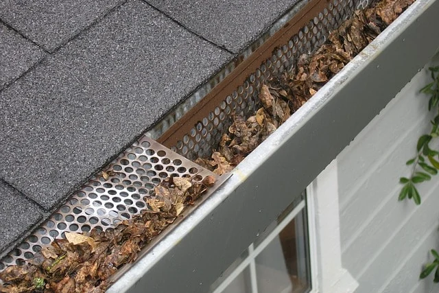 Clogged gutters Clogged gutters