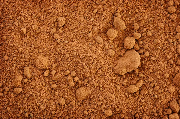 many homeowners opt for clay soil many homeowners opt for clay soil