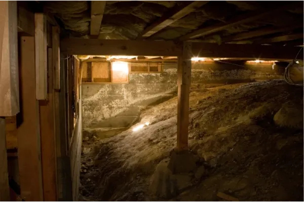Mold on wall and cinder block crawl space