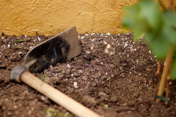 disruptive to landscaping disruptive to landscaping
