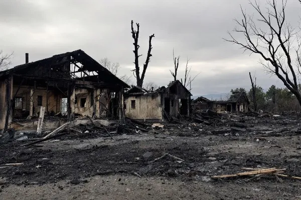 A collection of houses stands amidst a burned area A collection of houses stands amidst a burned area
