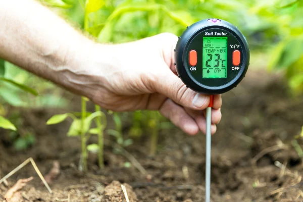 The Role of Soil Stability The Role of Soil Stability