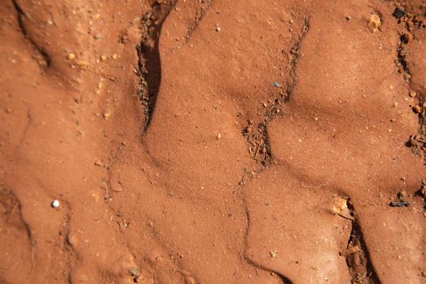 clay minerals clay minerals