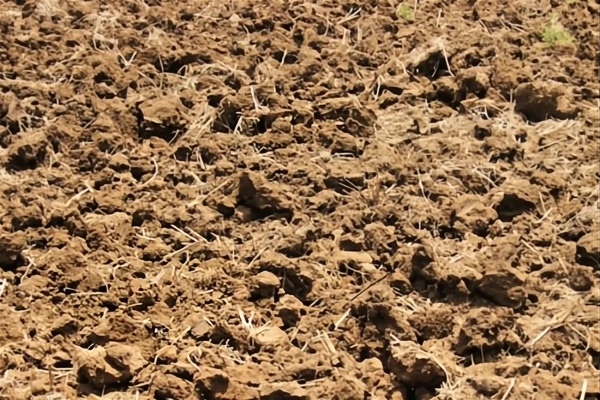 soil quality soil quality